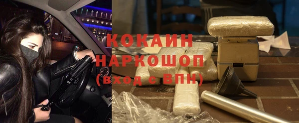 гидра Аркадак