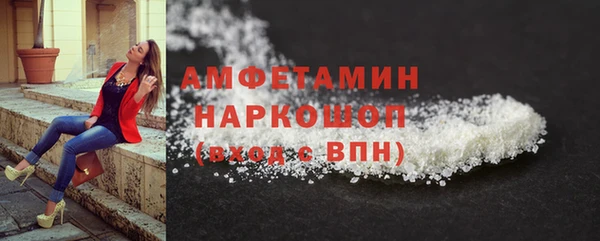 гидра Аркадак