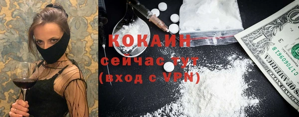 гидра Аркадак