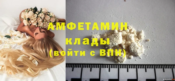 гидра Аркадак